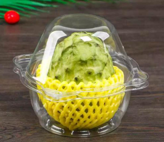 ¡Plástico para el mundo, crea sin límites! El equipo de termoformado Ruisu es ampliamente utilizado.