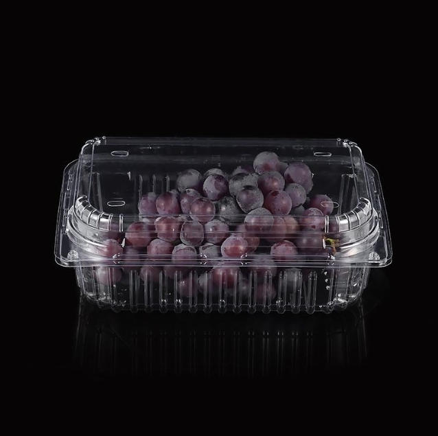 Los equipos de termoformado profesionales le ayudan a ganar de manera eficiente