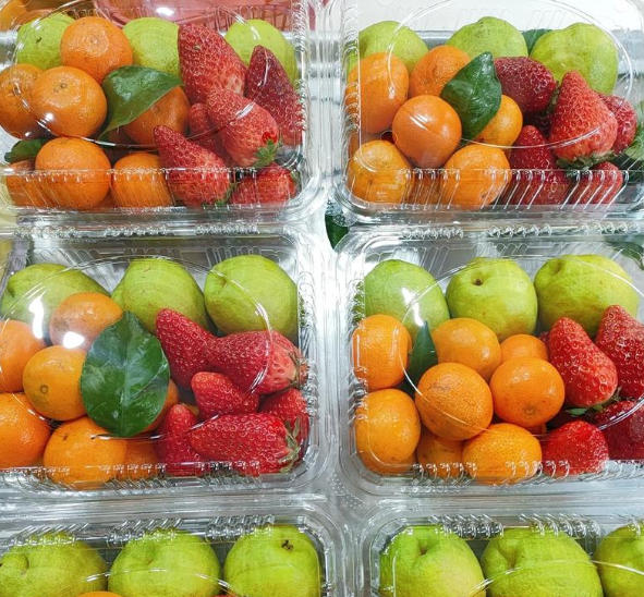 Fabricante profesional de máquinas termoformadoras automáticas