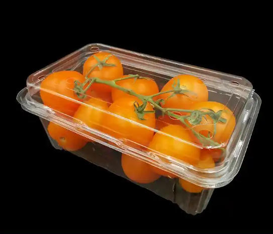 Fabricante profesional de máquinas termoformadoras automáticas