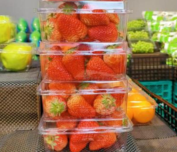 ¡Plástico para el mundo, crea sin límites! El equipo de termoformado Ruisu es ampliamente utilizado.